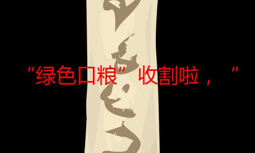 “绿色口粮”收割啦，“哞哞”“咩咩”超有食欲吧！