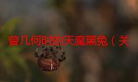 曾几何时的天魔黑兔（关于曾几何时的天魔黑兔的简介）