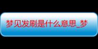 梦见发刷是什么意思_梦见发刷好不好-周公解梦